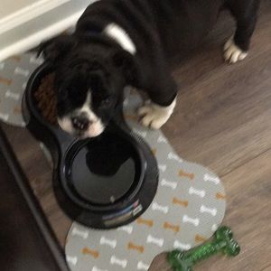 Meet your Posher, Mike